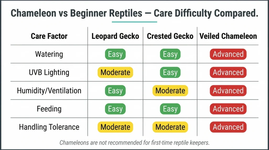 A comparison table ranking care factors like lighting and feeding as "Easy," "Moderate," or "Advanced" for leopard geckos, crested geckos, and veiled chameleons.